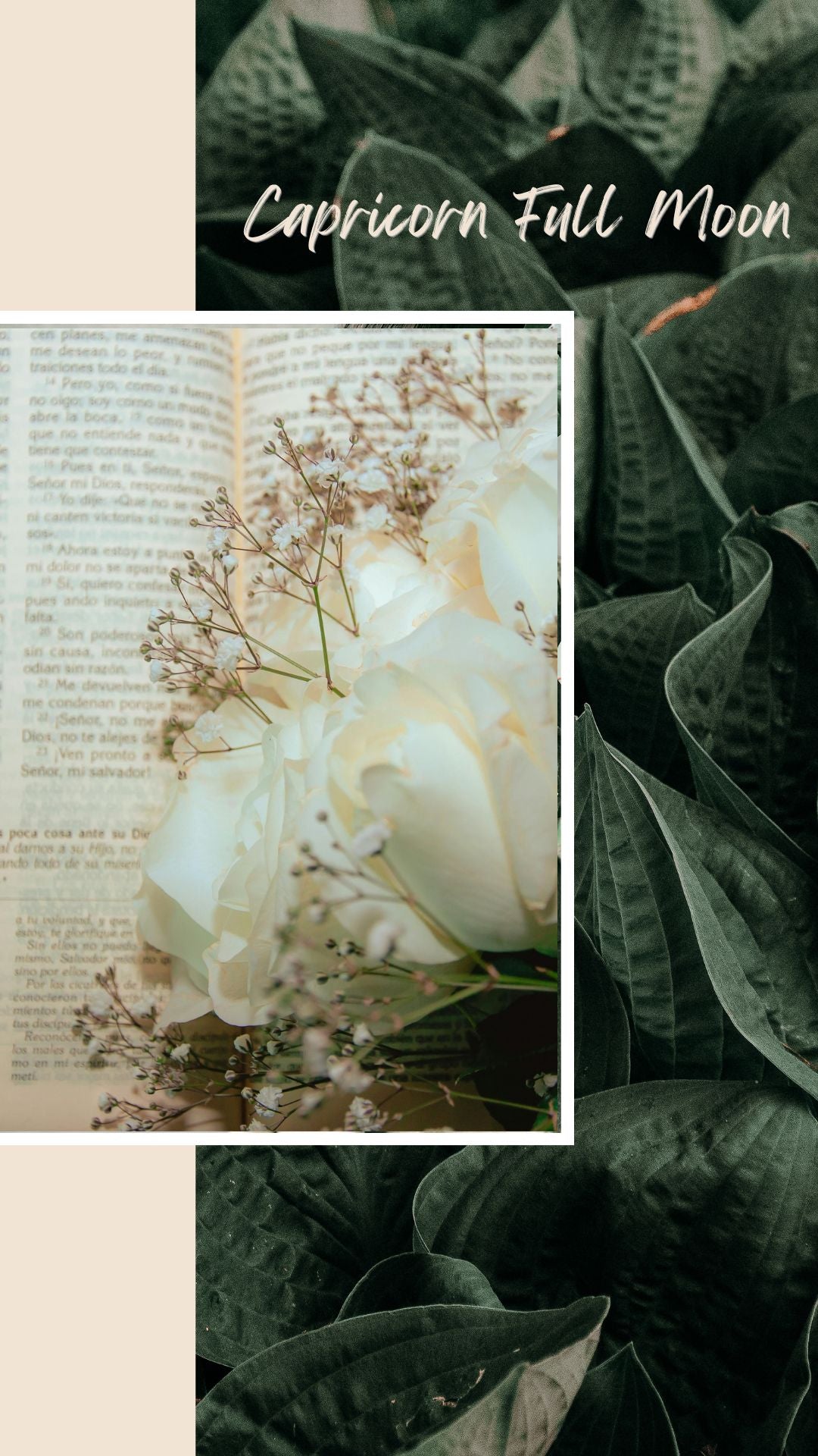 Capricorn Full Moon Ritual and Tarot Reading