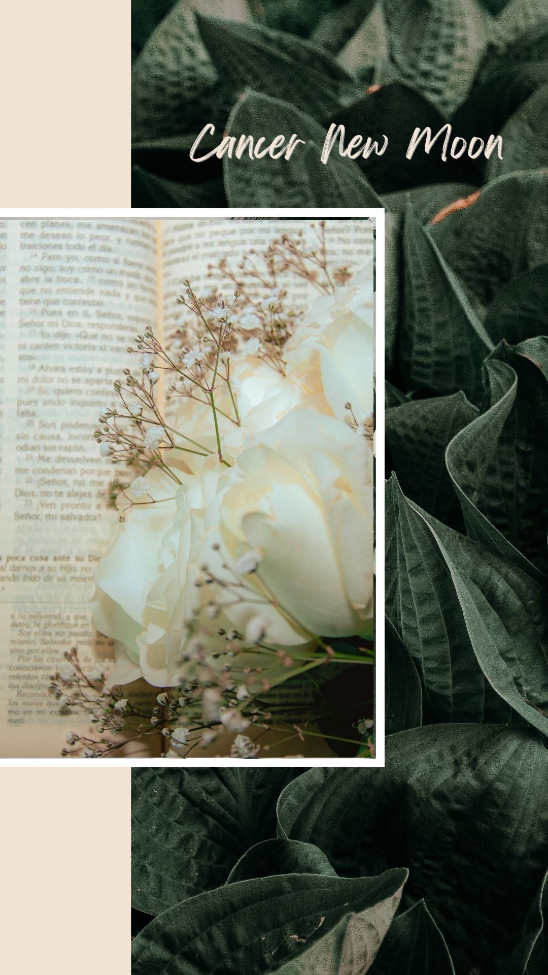 Cancer New Moon Ritual and Tarot Reading